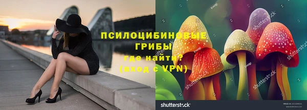 бошки Балахна