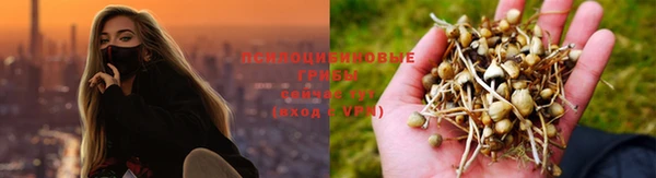 бошки Балахна