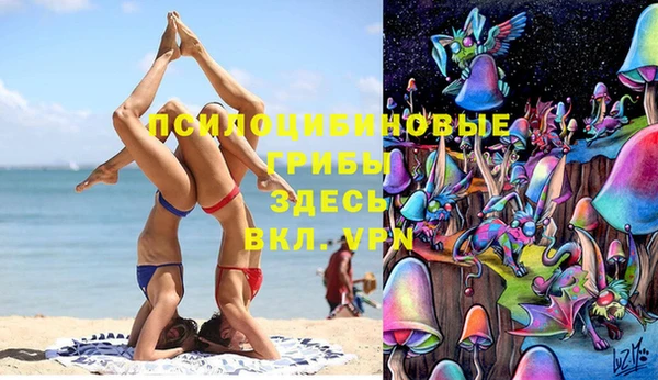бошки Балахна